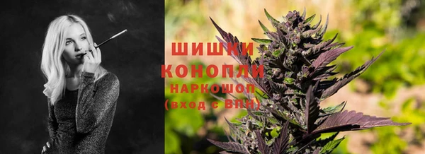 мдпв Волосово
