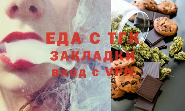 индика Краснотурьинск