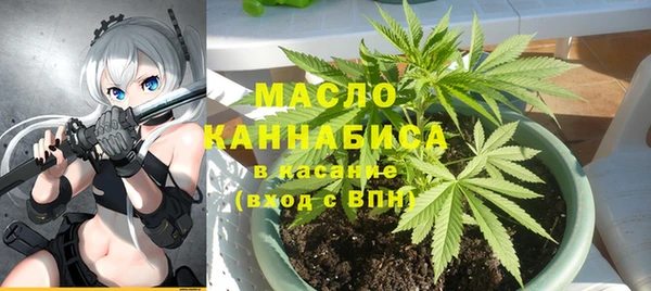 индика Краснотурьинск