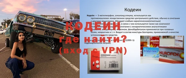 индика Краснотурьинск