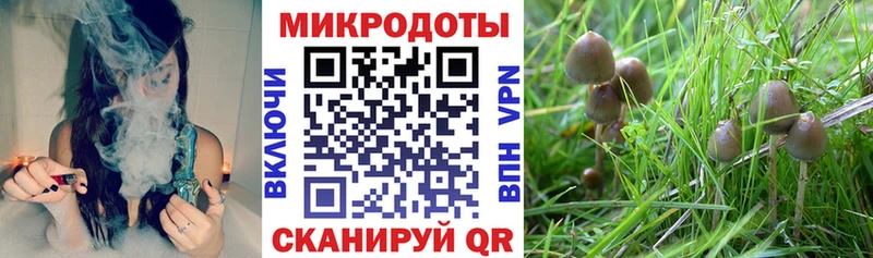 Псилоцибиновые грибы ЛСД  купить   Магас 